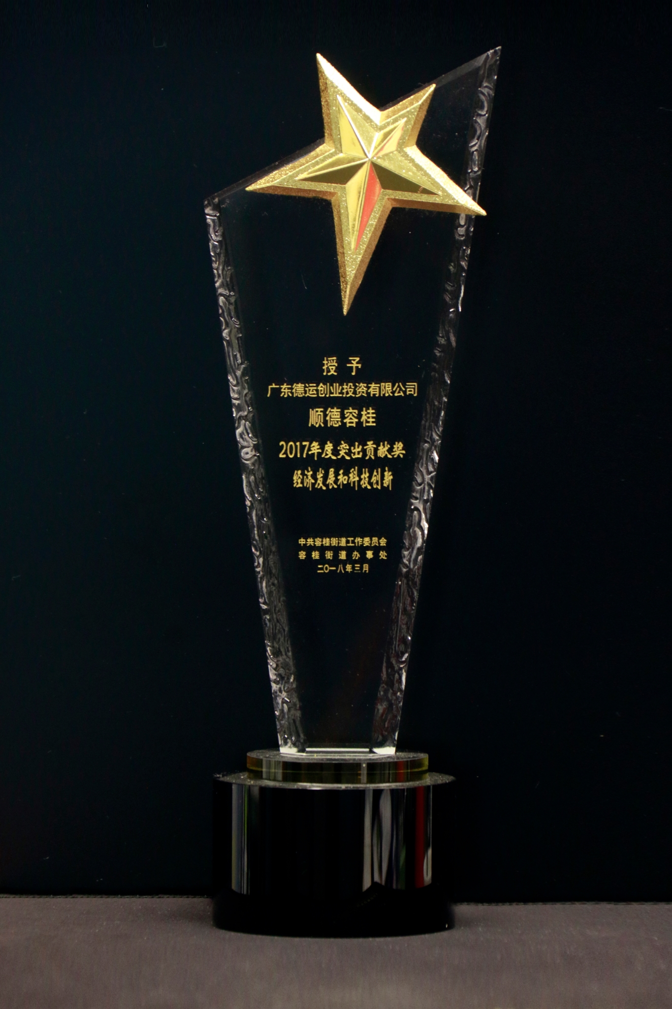 2017年度容桂街道突出贡献奖