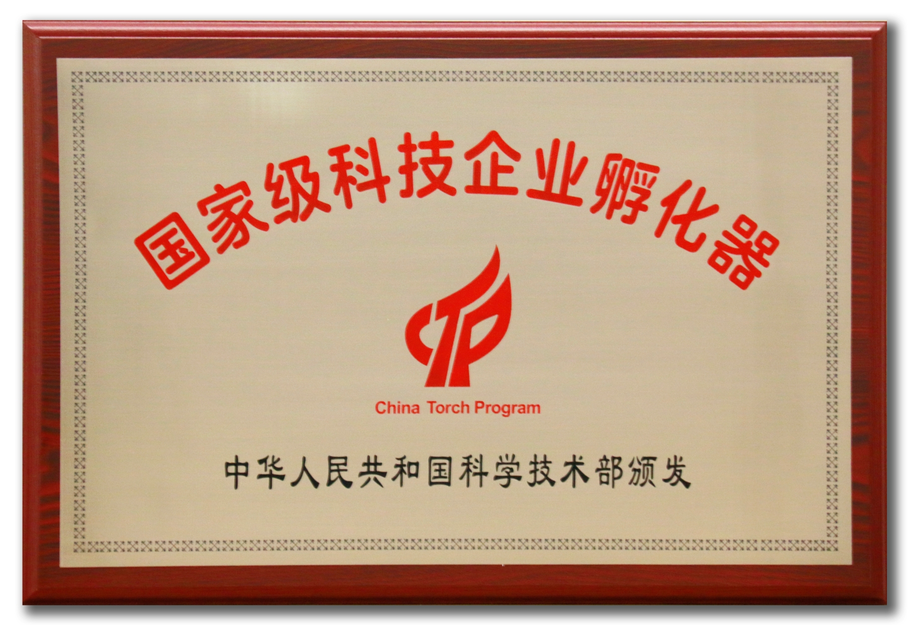 国家级科技企业孵化器